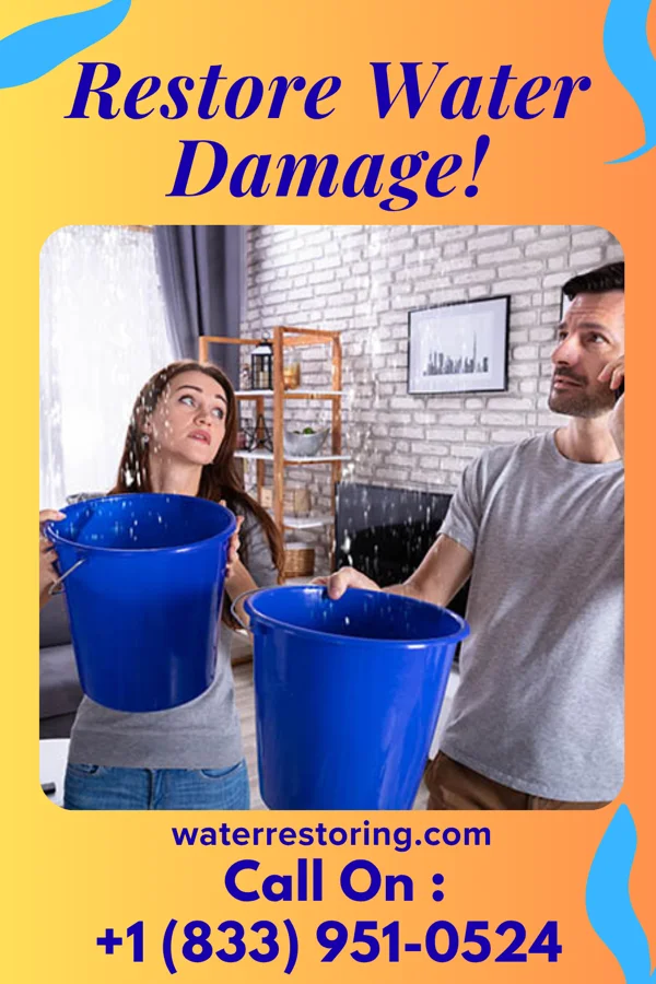 water restoration Best Recovery Network Sugartown